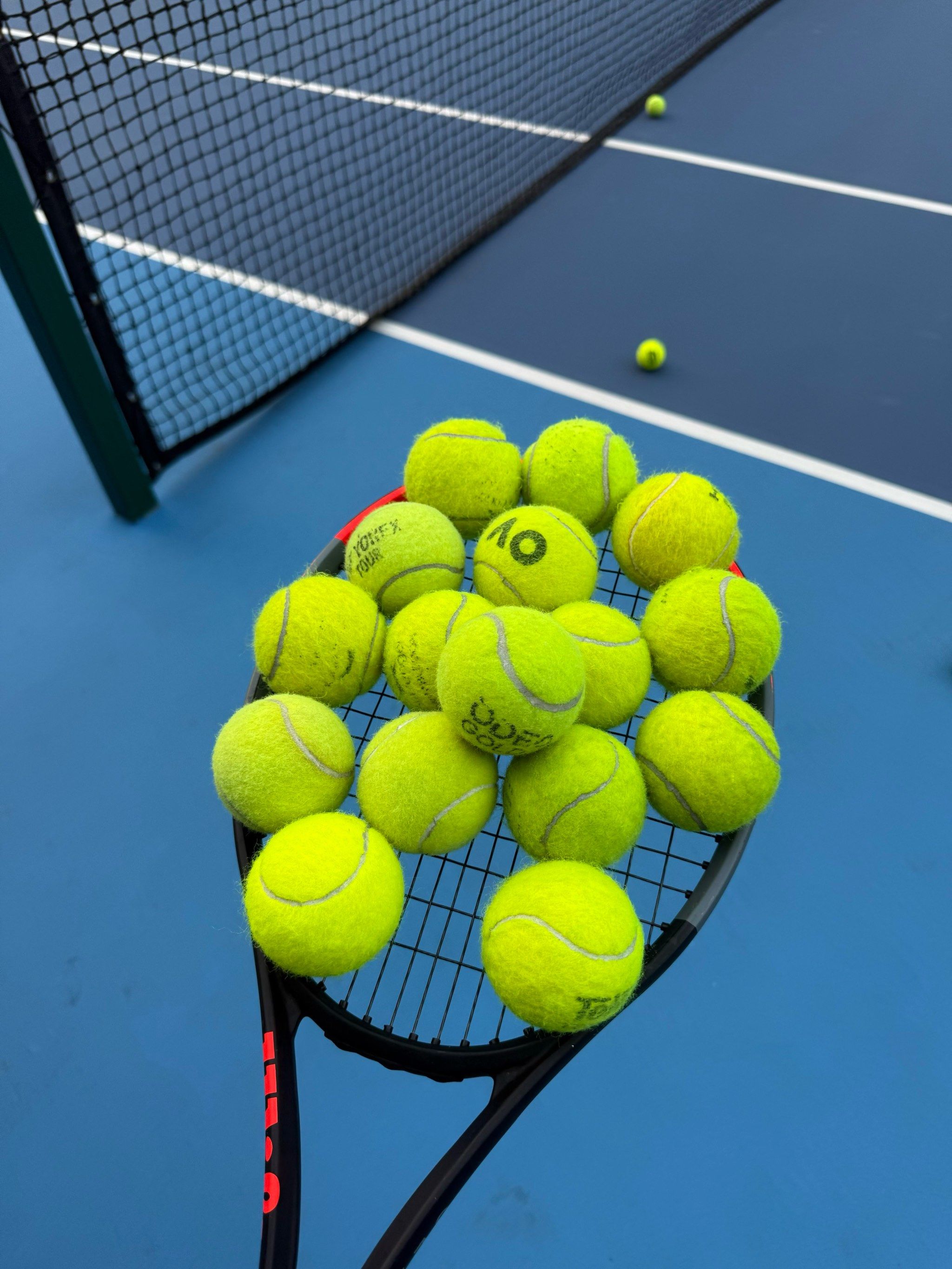 联盟里有很 联盟里有很