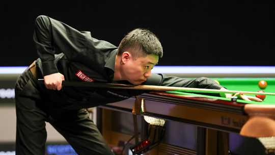 生态成熟 生态成熟